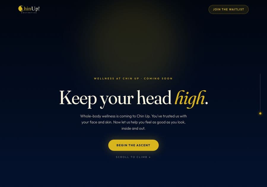Chin Up Aesthetics — The business I ran for seven years and sold in March 2026, and the systems I built at eleven at night to stop running it by hand.